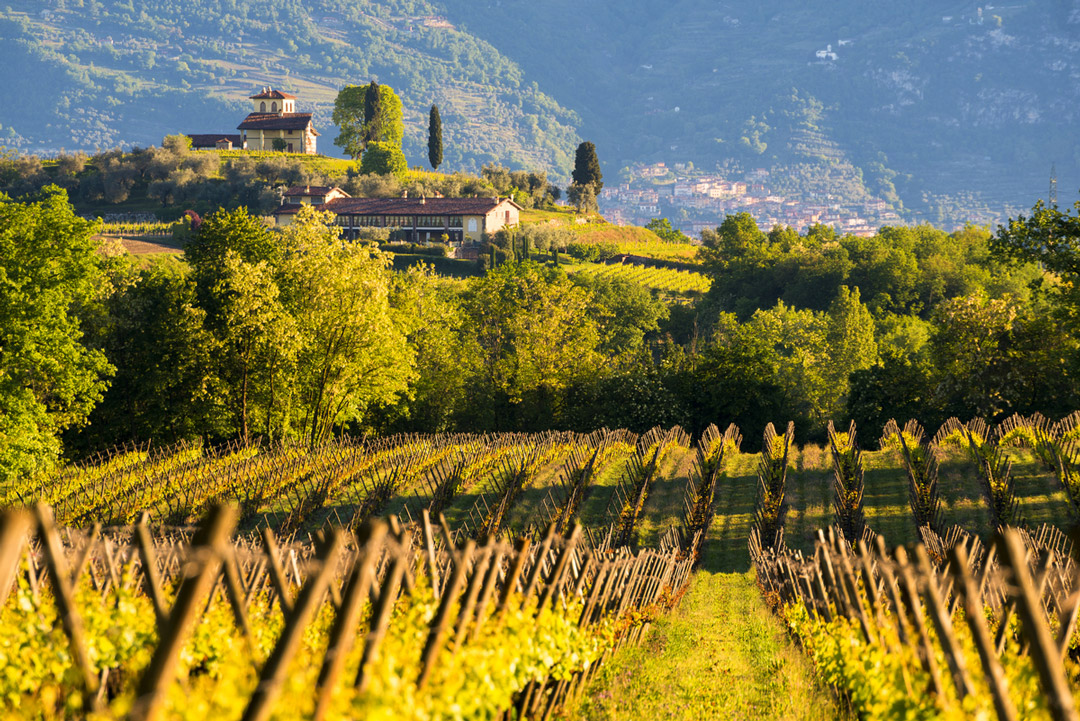 Paesaggio collinare della Franciacorta